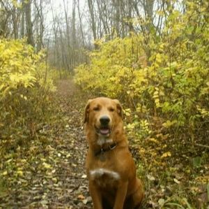 Meet your Posher, Timothy